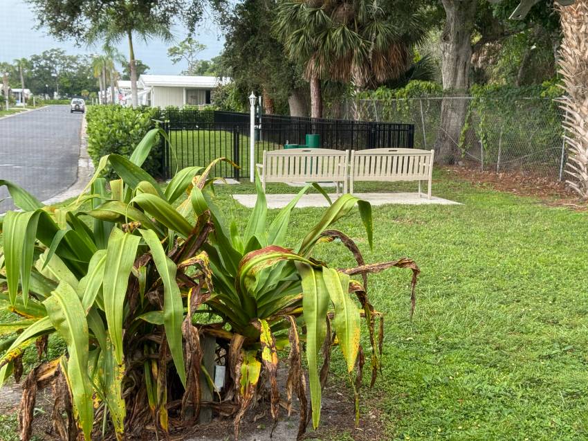 264 Coconut St a Bradenton, FL Mobile or Manufactured Home for Sale